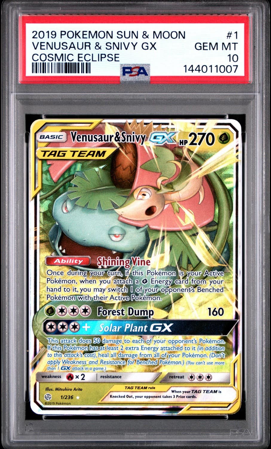 Venusaur & Snivy Gx