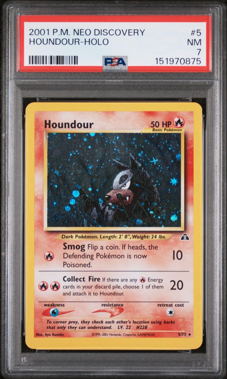 Houndour