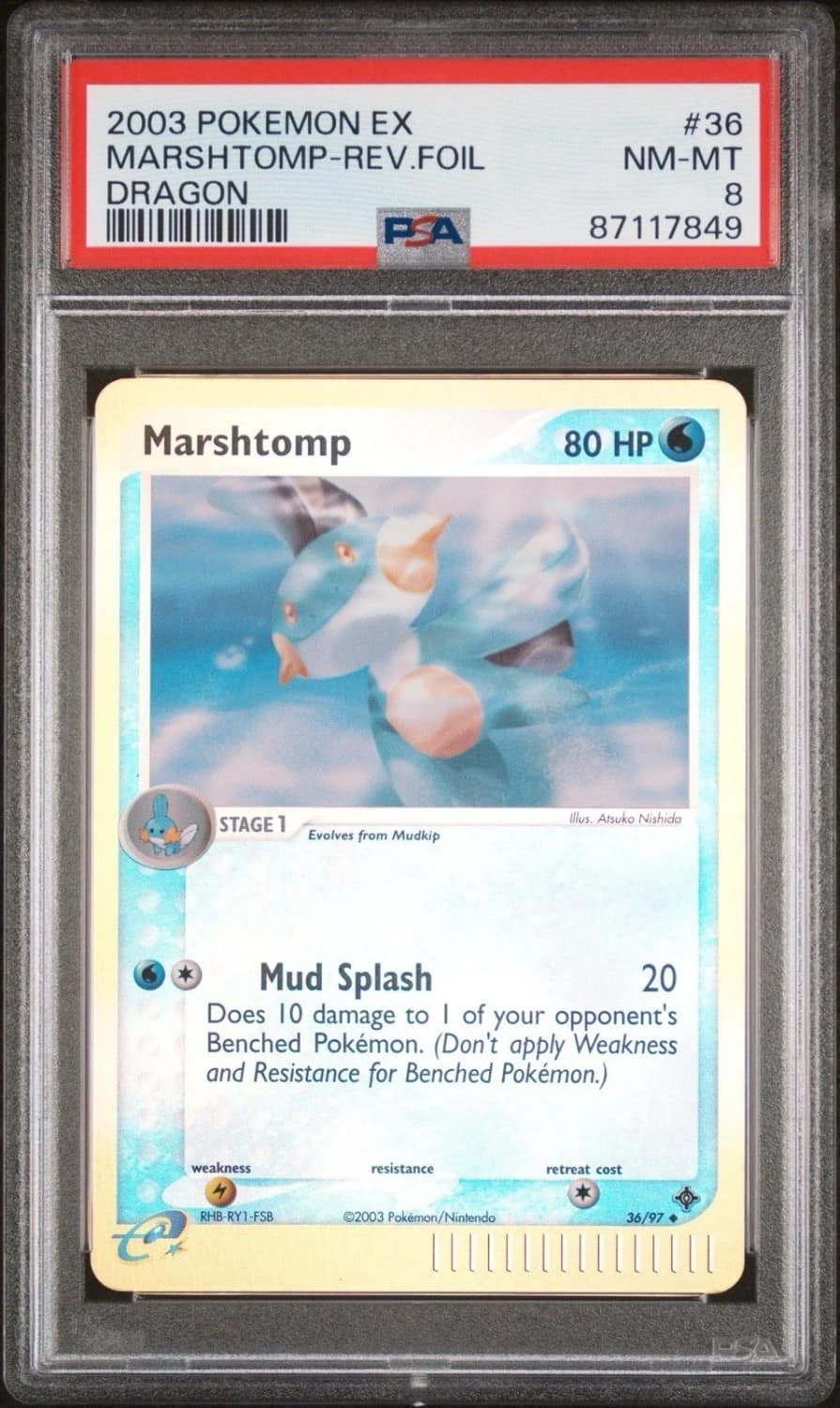 Marshtomp