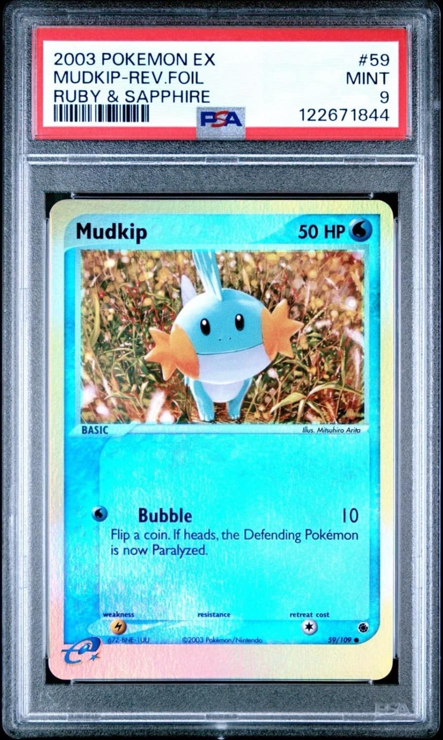 Mudkip