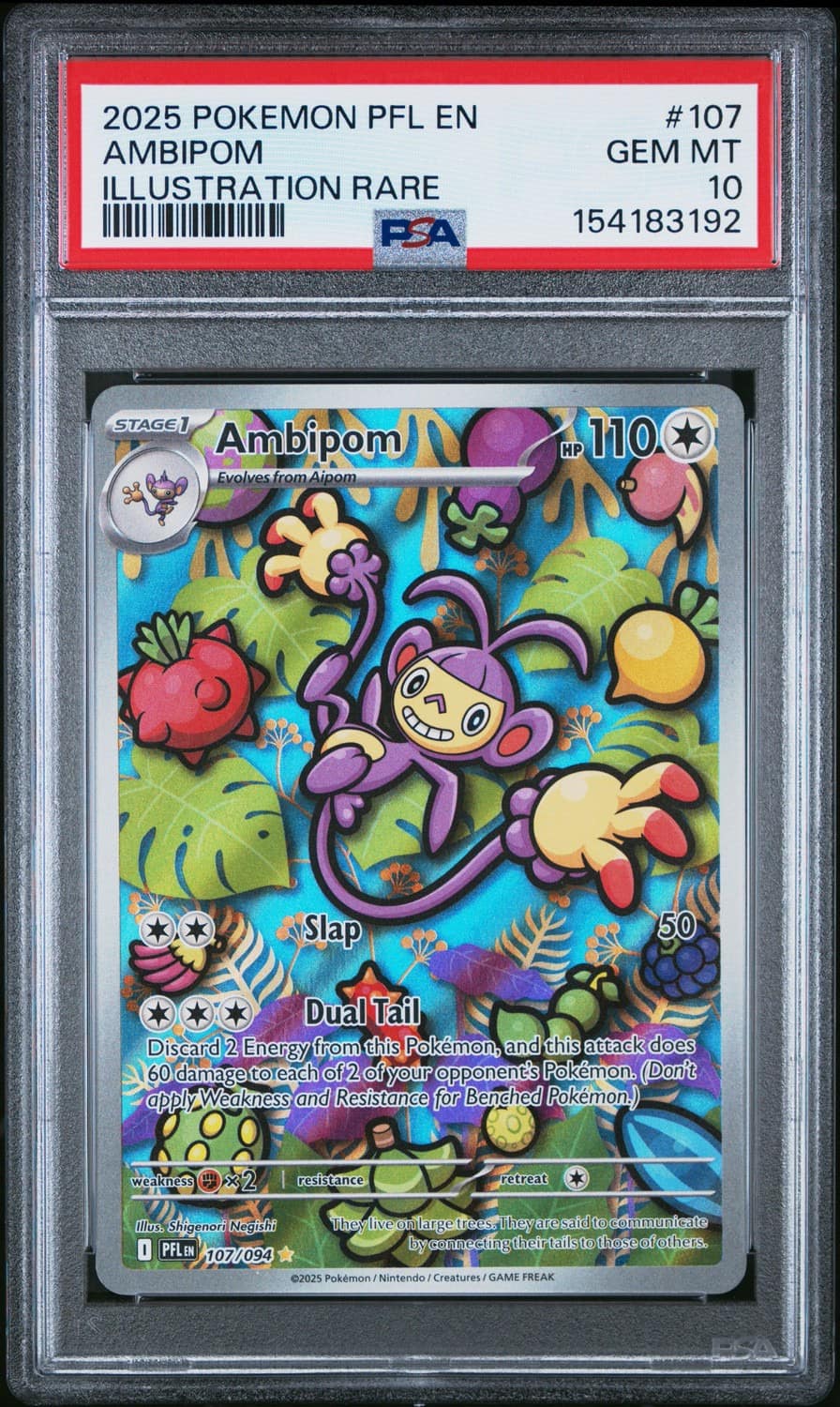 Ambipom