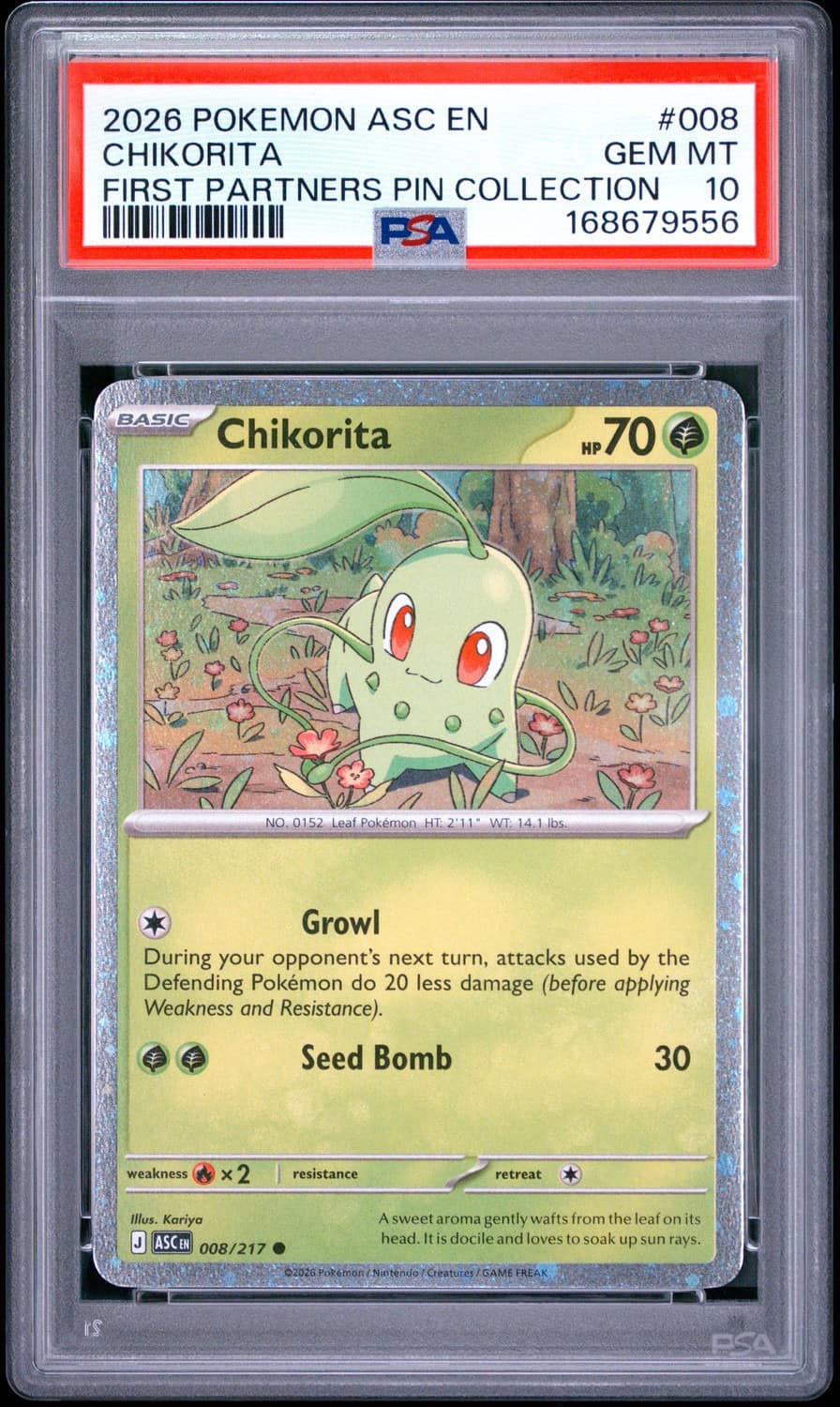 Chikorita