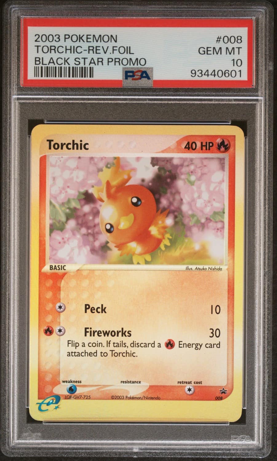 Torchic
