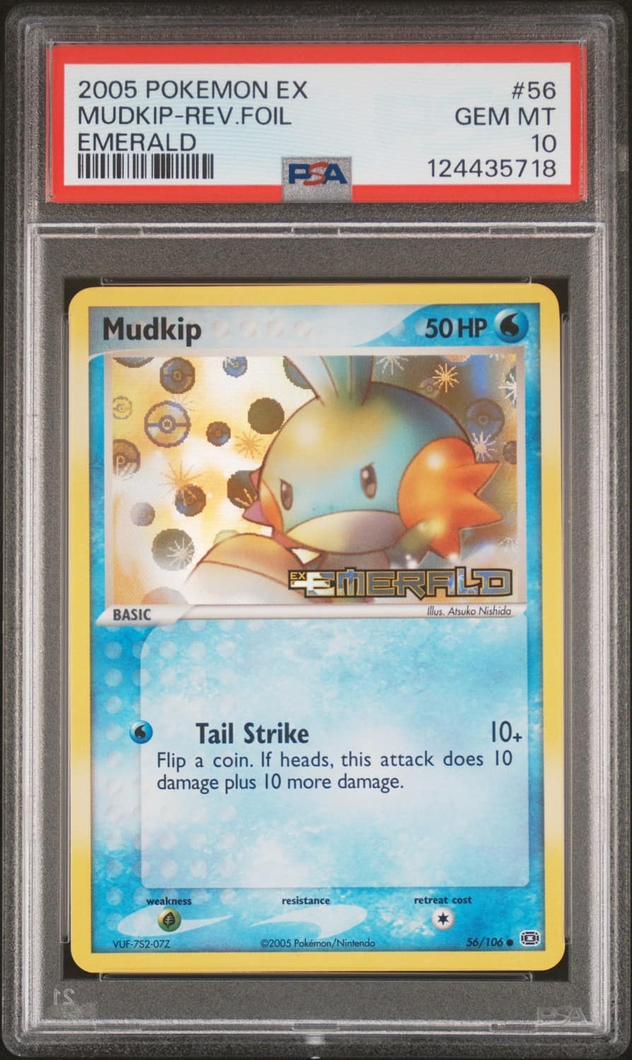 Mudkip