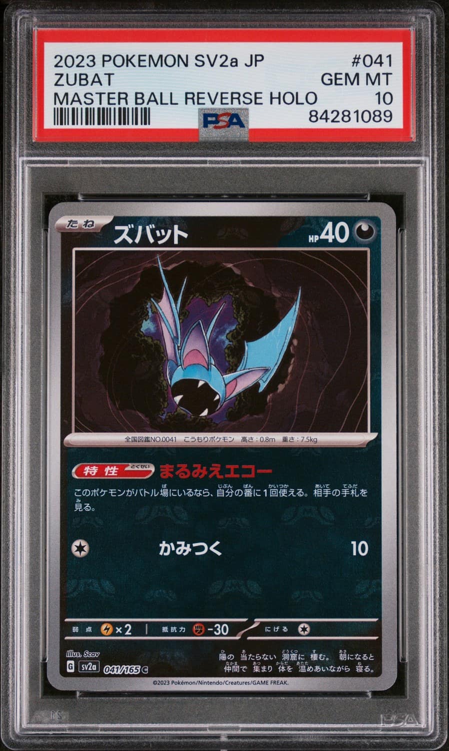 Zubat