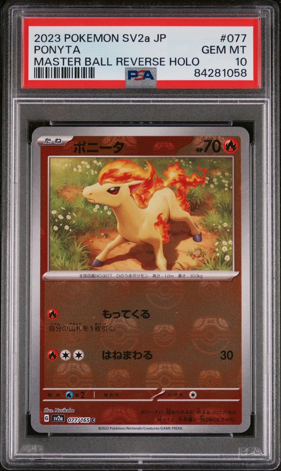 Ponyta