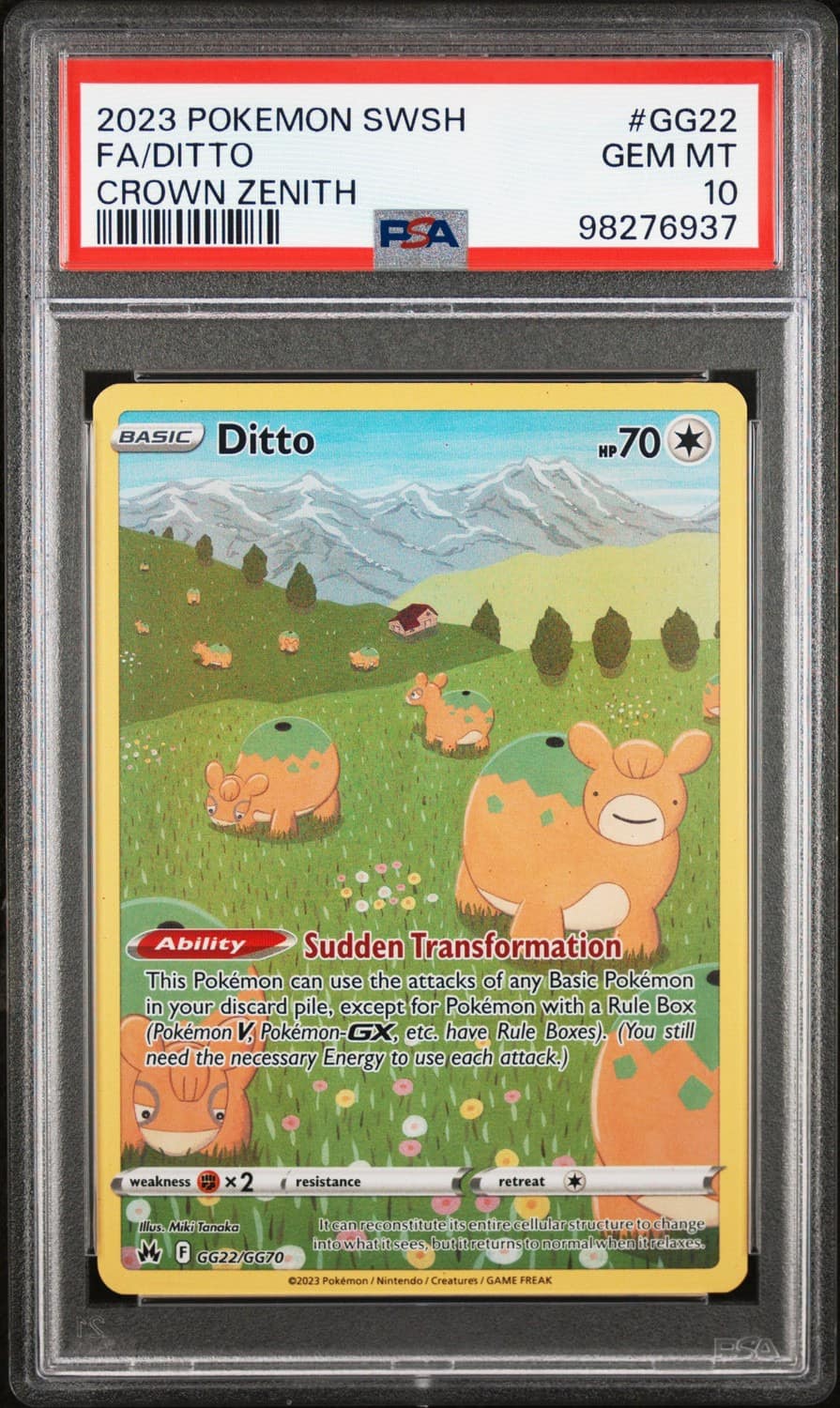 Ditto