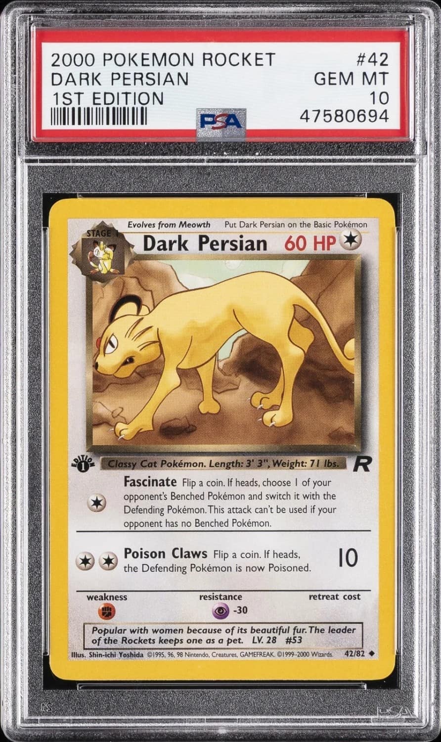 Dark Persian
