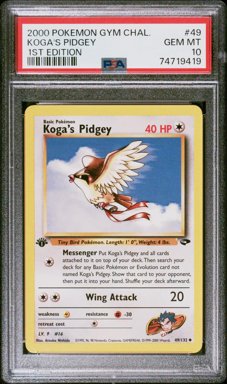 Koga'S Pidgey