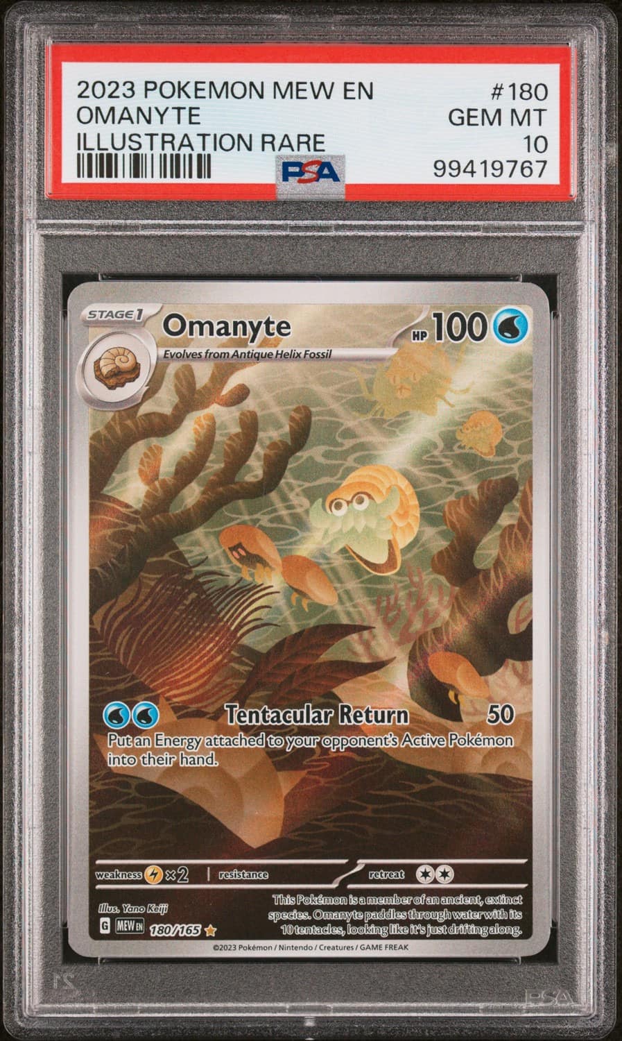 Omanyte