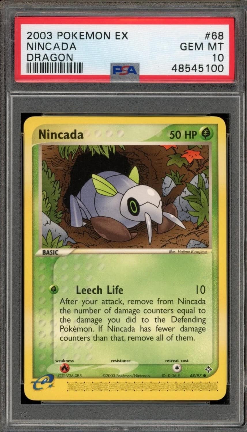 Nincada