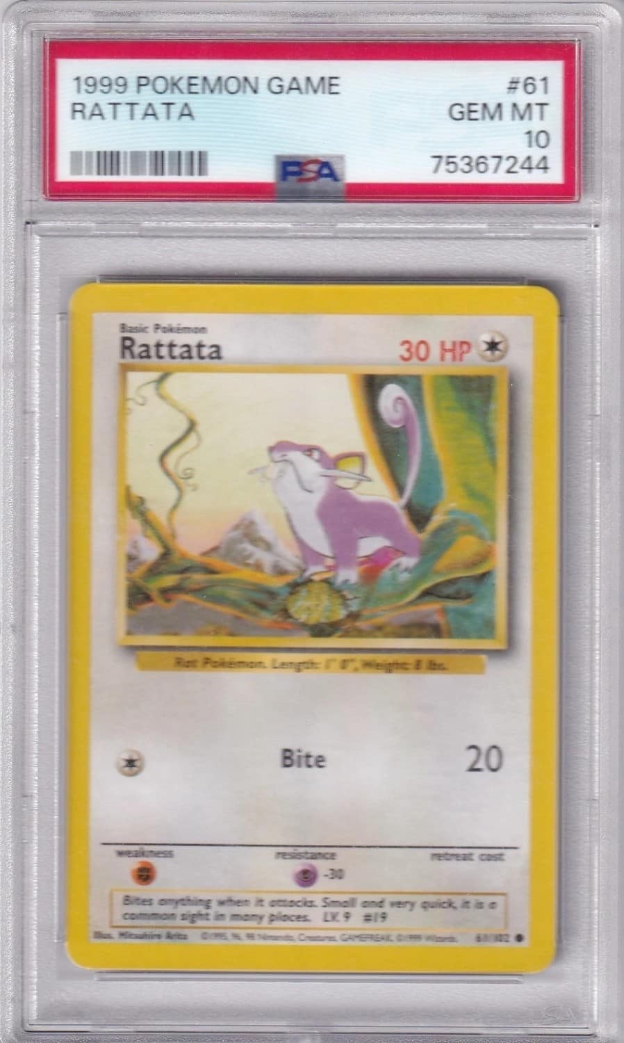 Rattata
