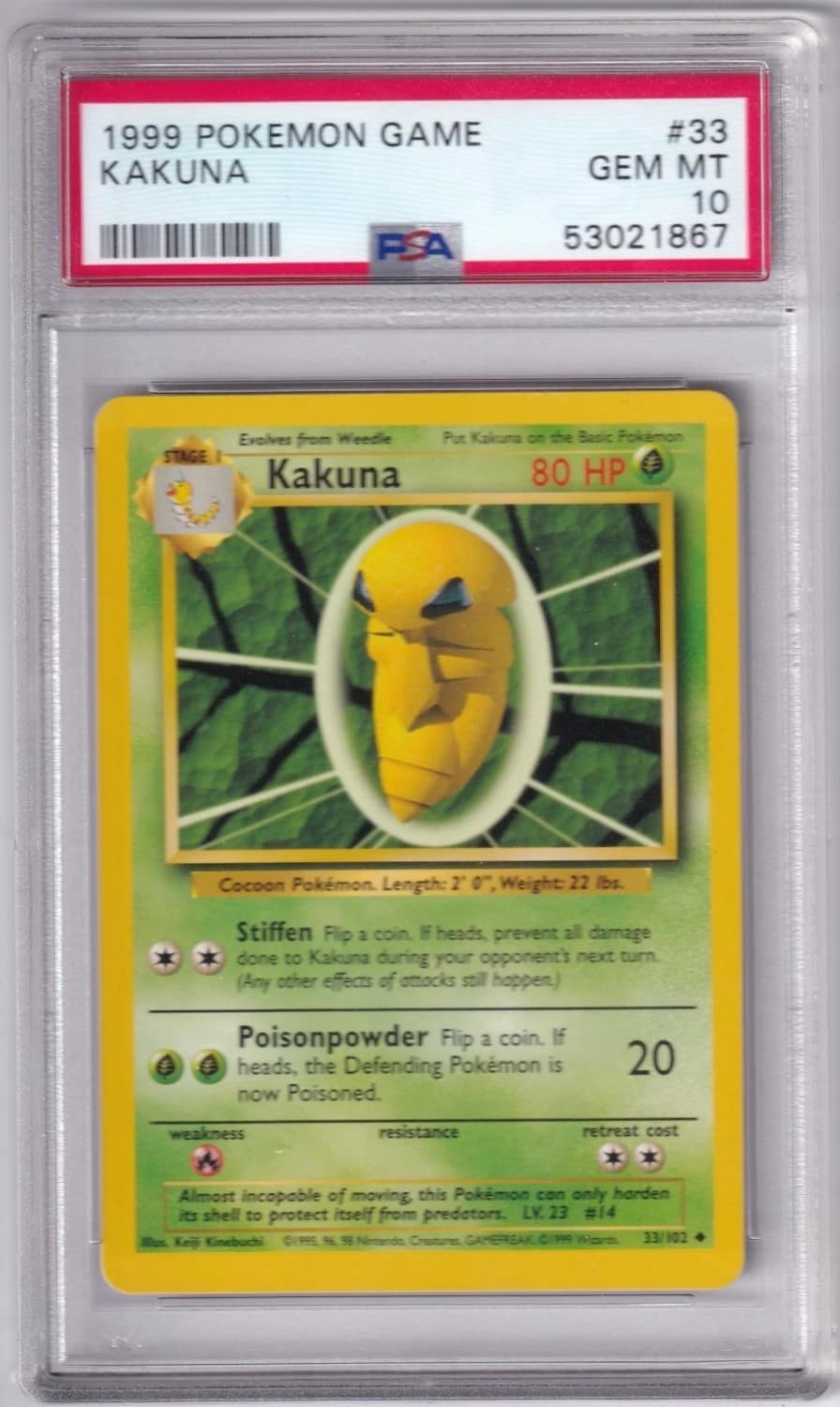 Kakuna