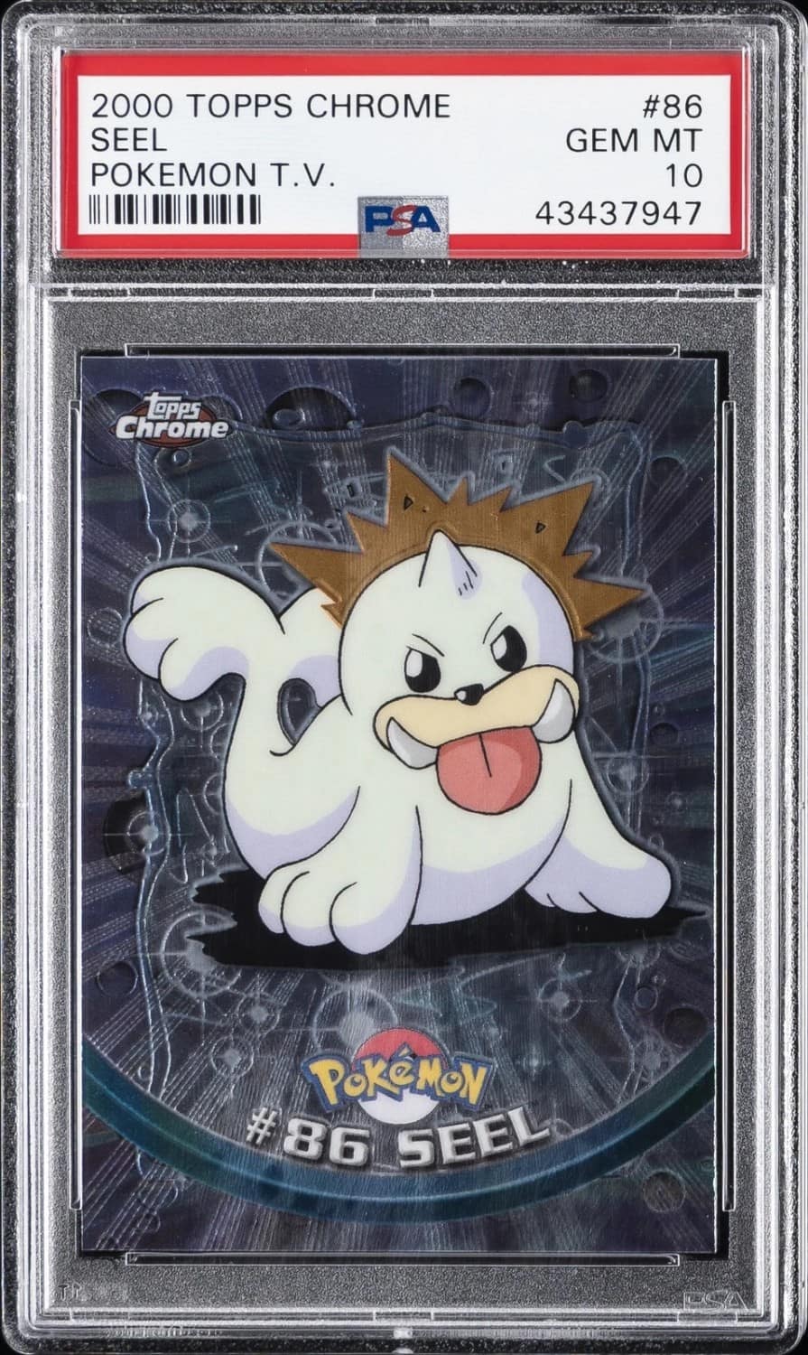 Seel