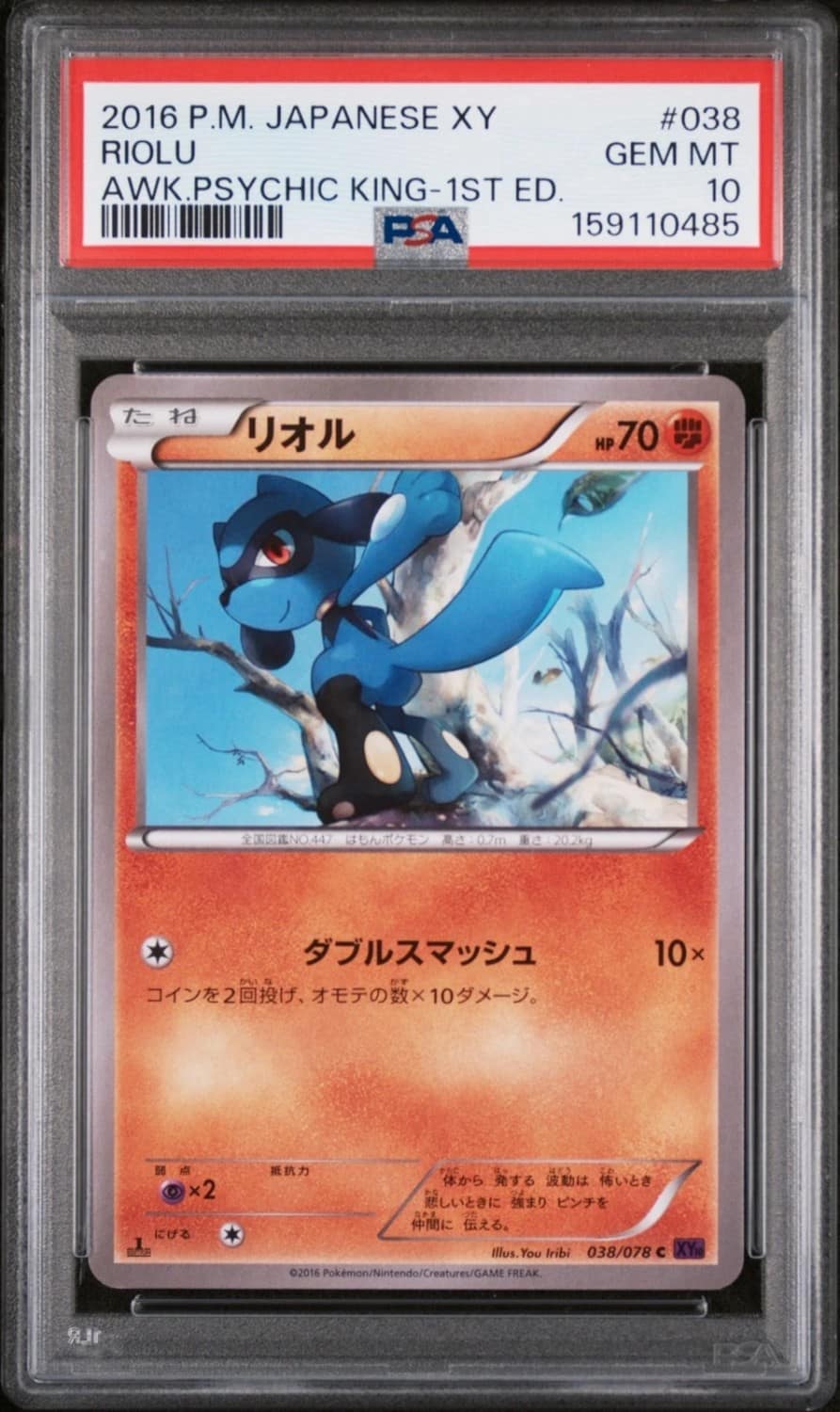Riolu