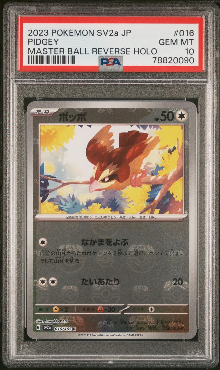 Pidgey