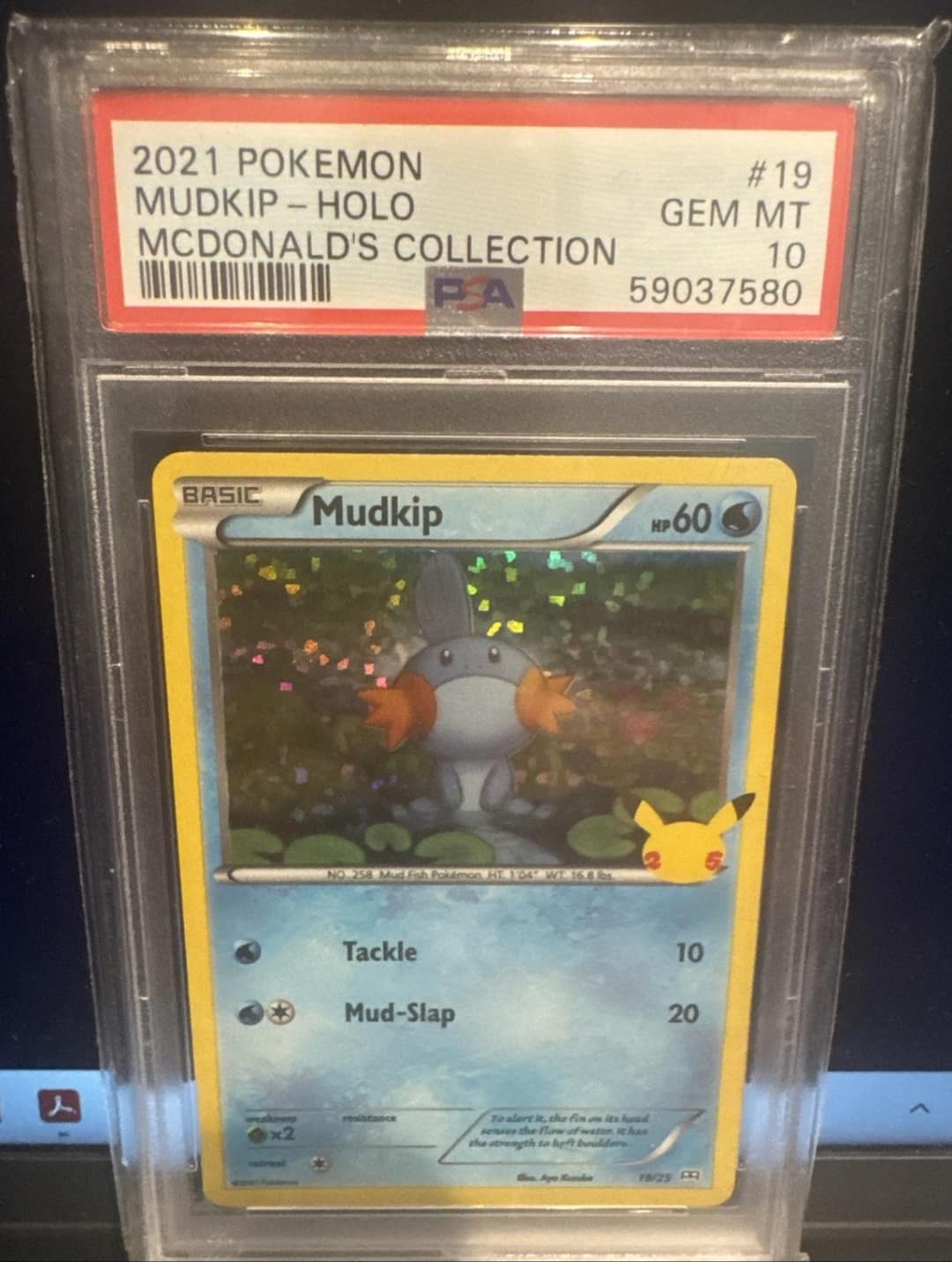 Mudkip