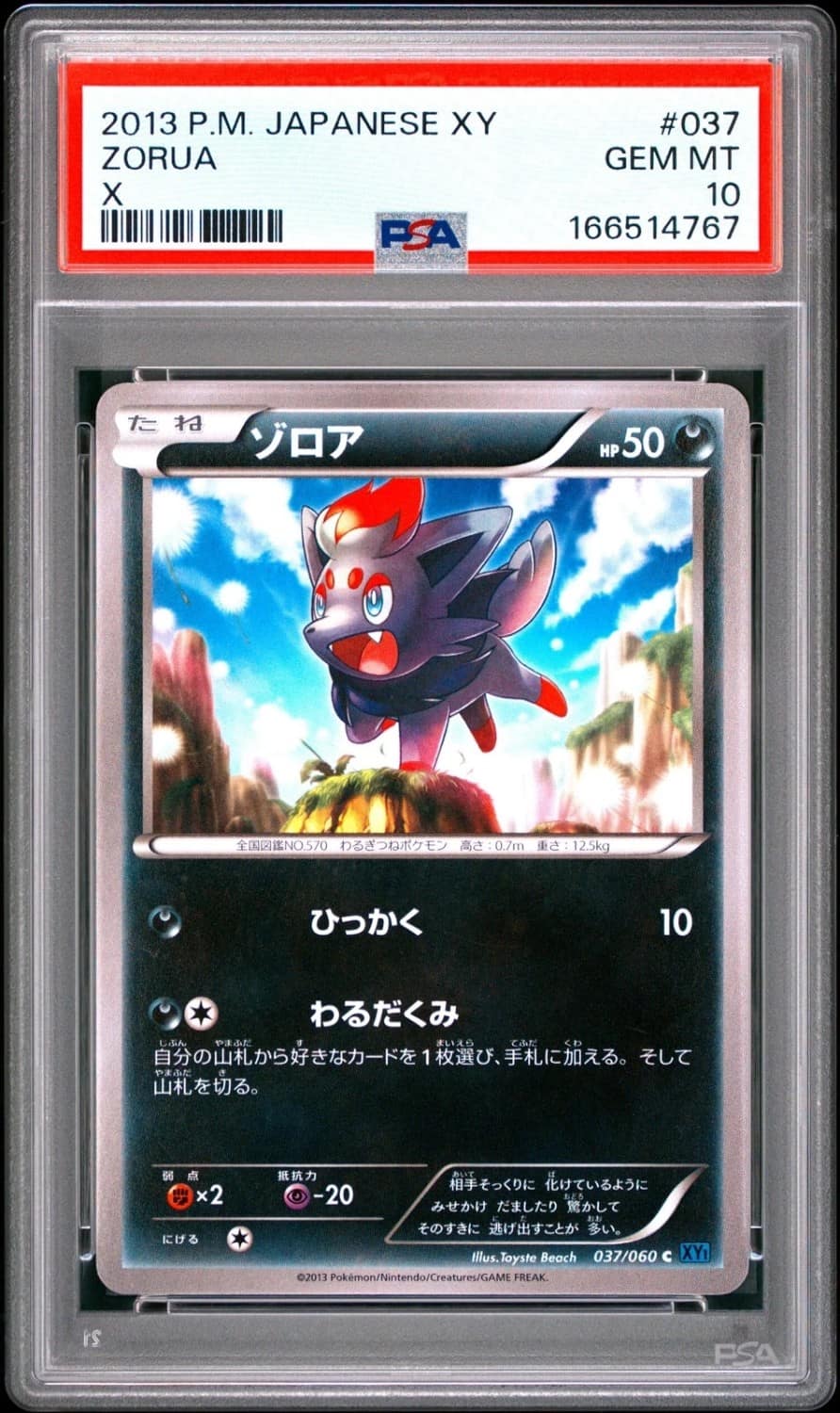 Zorua