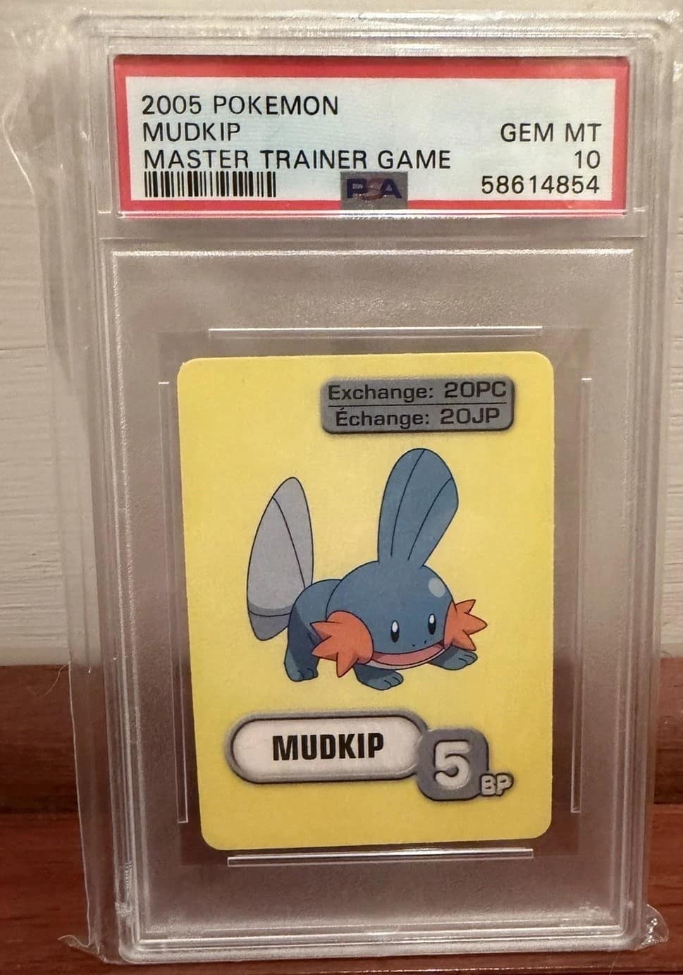 Mudkip