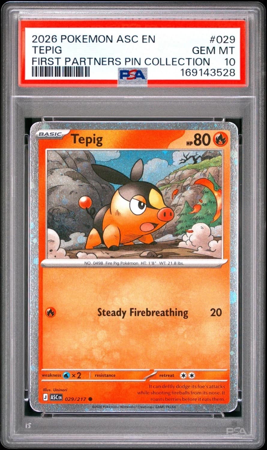 Tepig