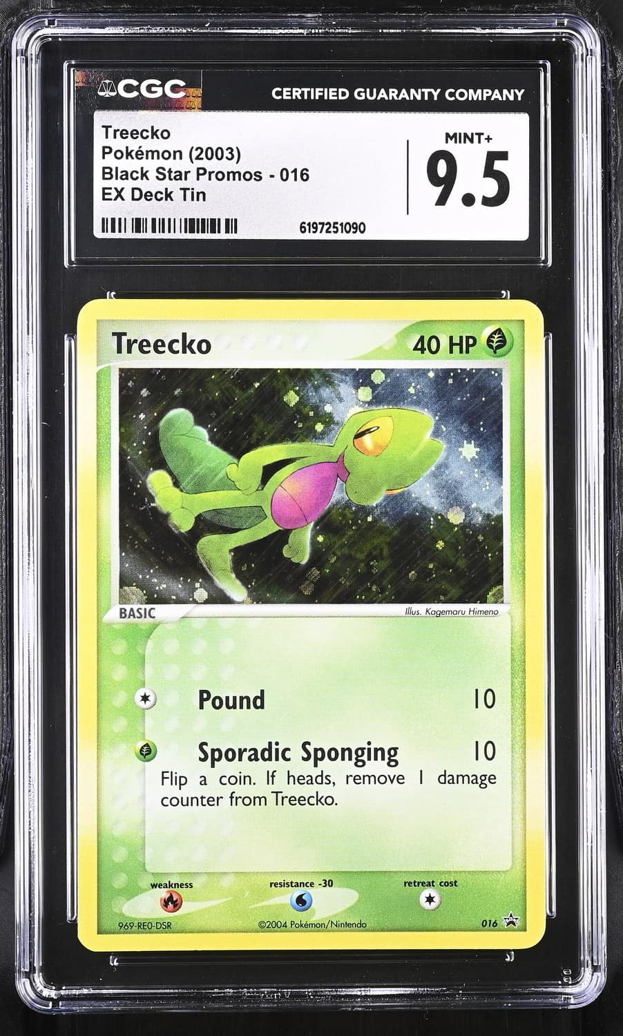 Treecko