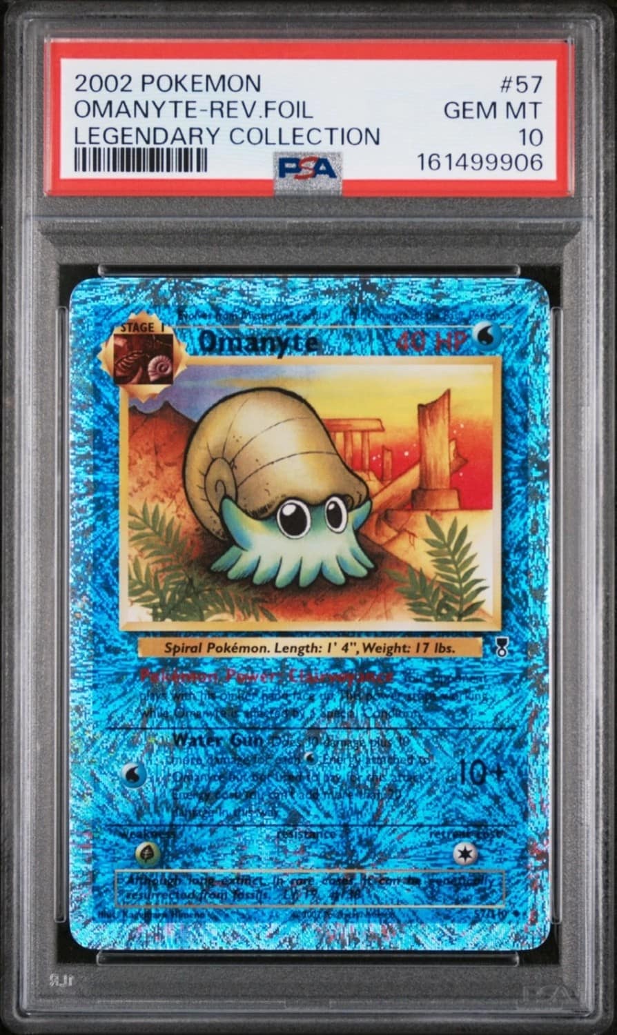 Omanyte