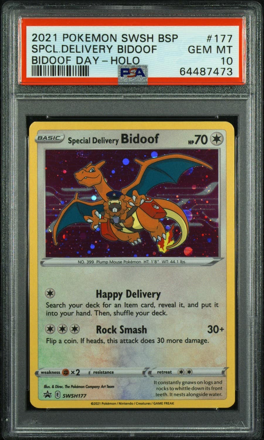 Special Delivery Bidoof