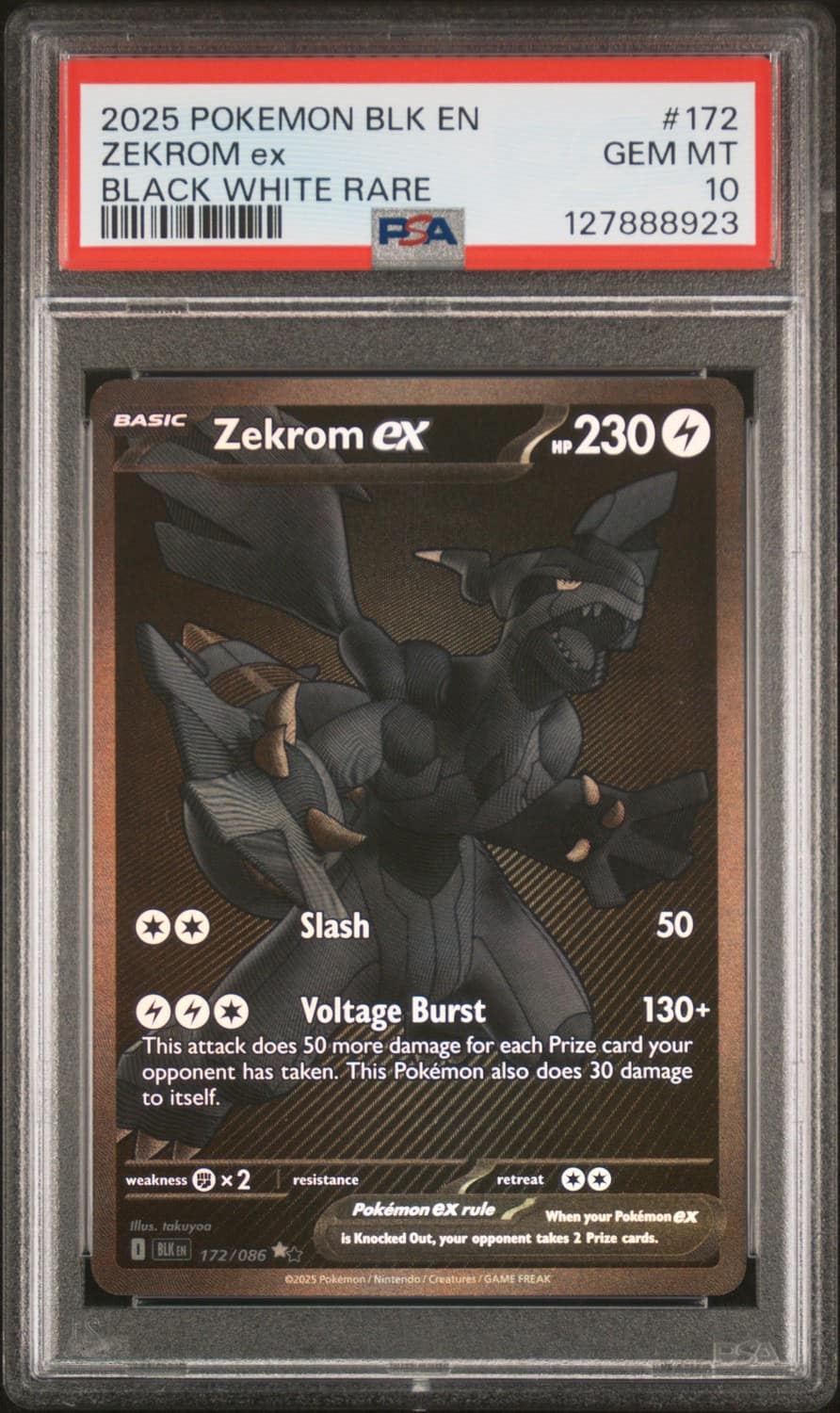 Zekrom Ex