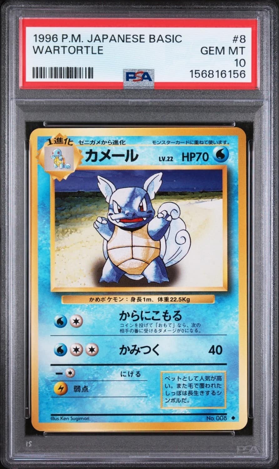 Wartortle