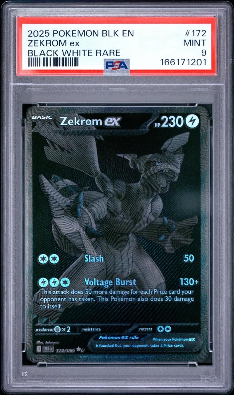 Zekrom Ex