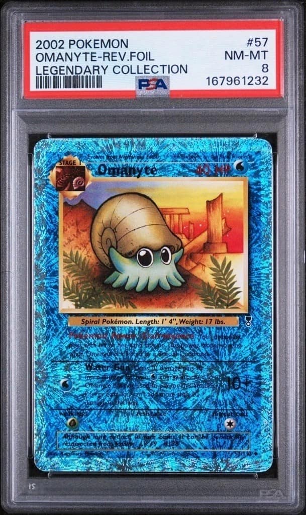 Omanyte