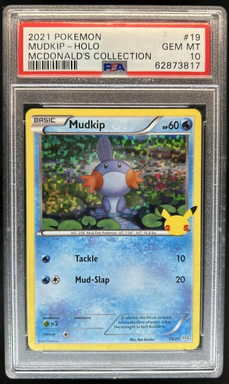 Mudkip