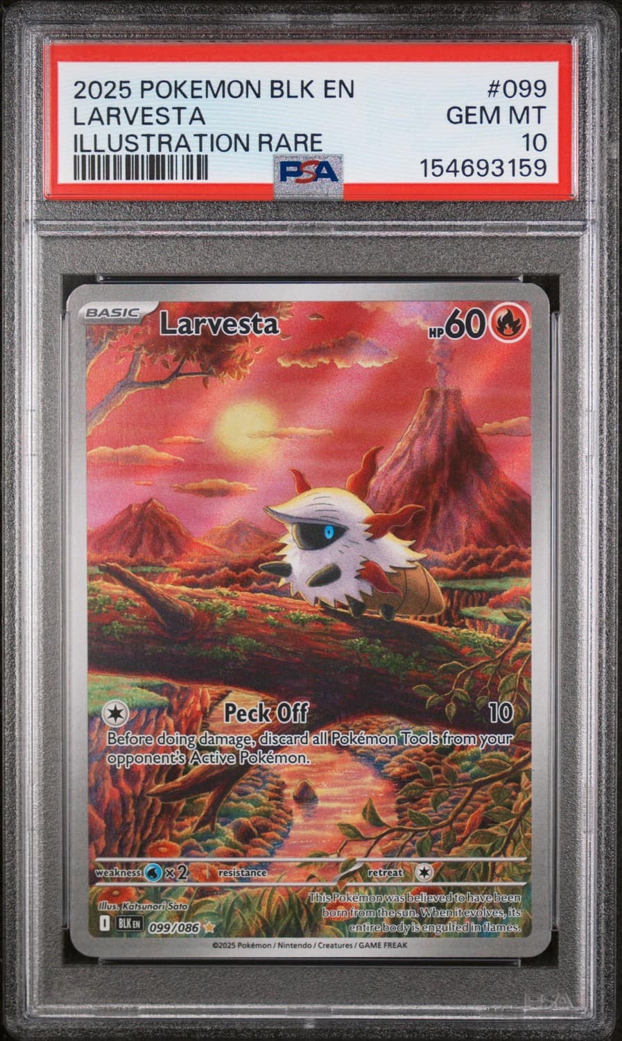Larvesta