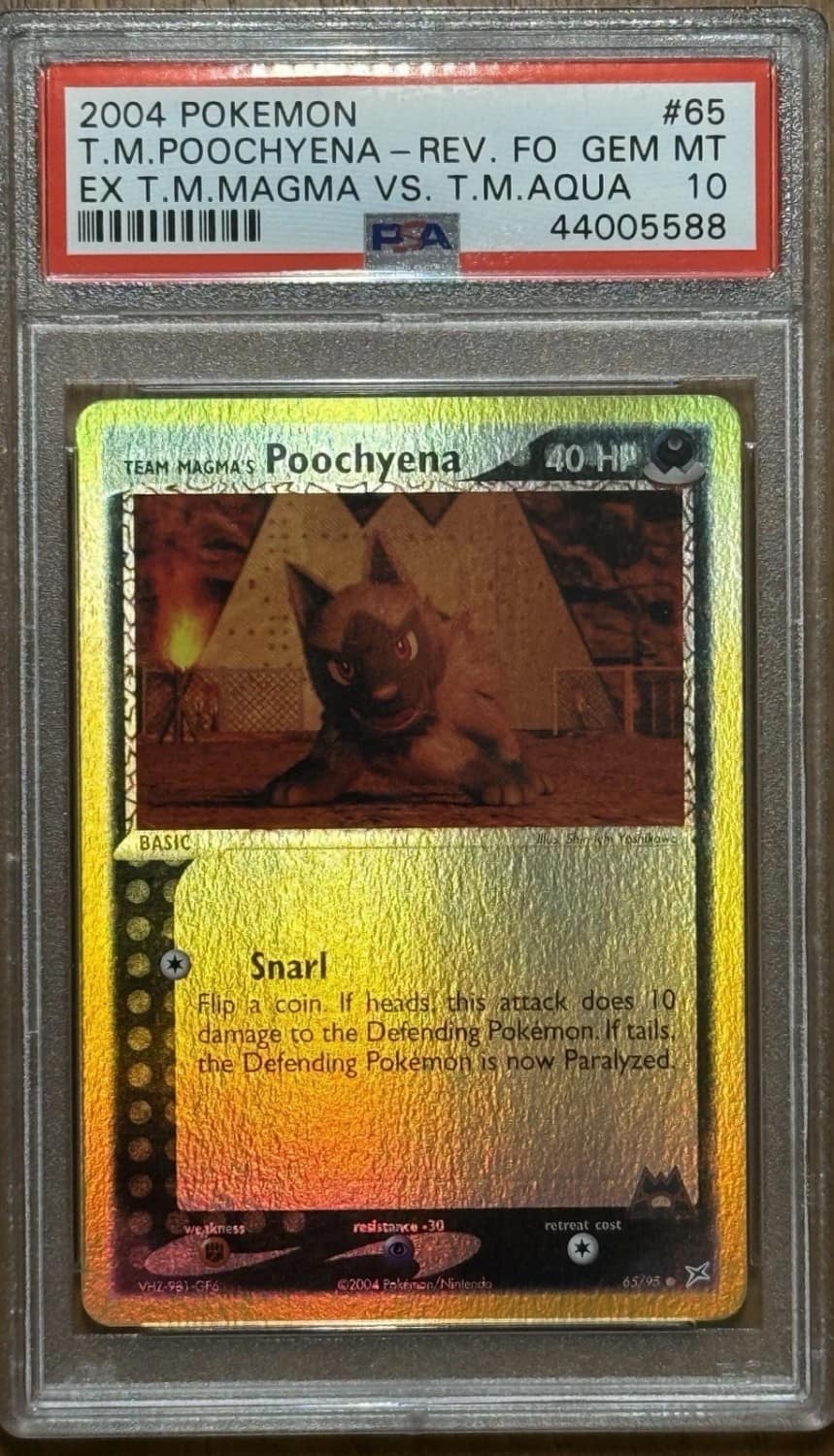 Team Magma'S Poochyena