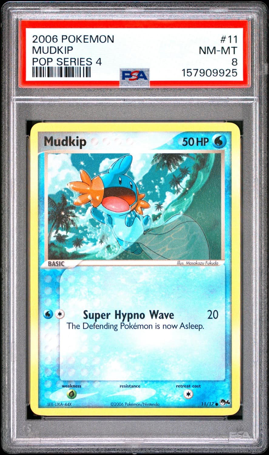 Mudkip