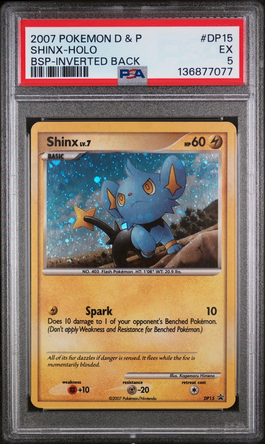 Shinx