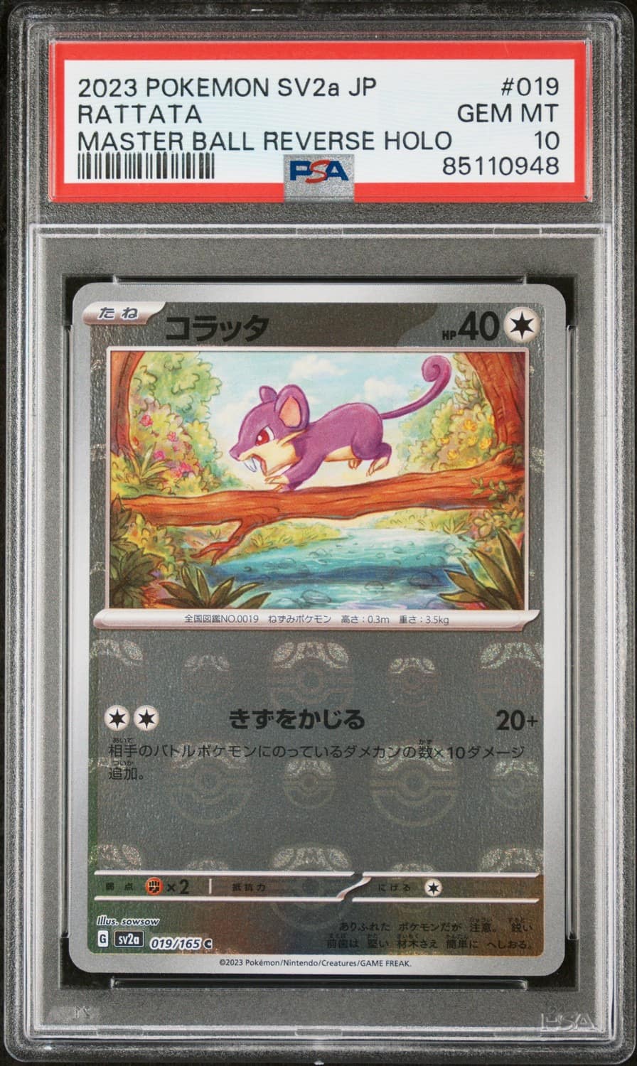 Rattata