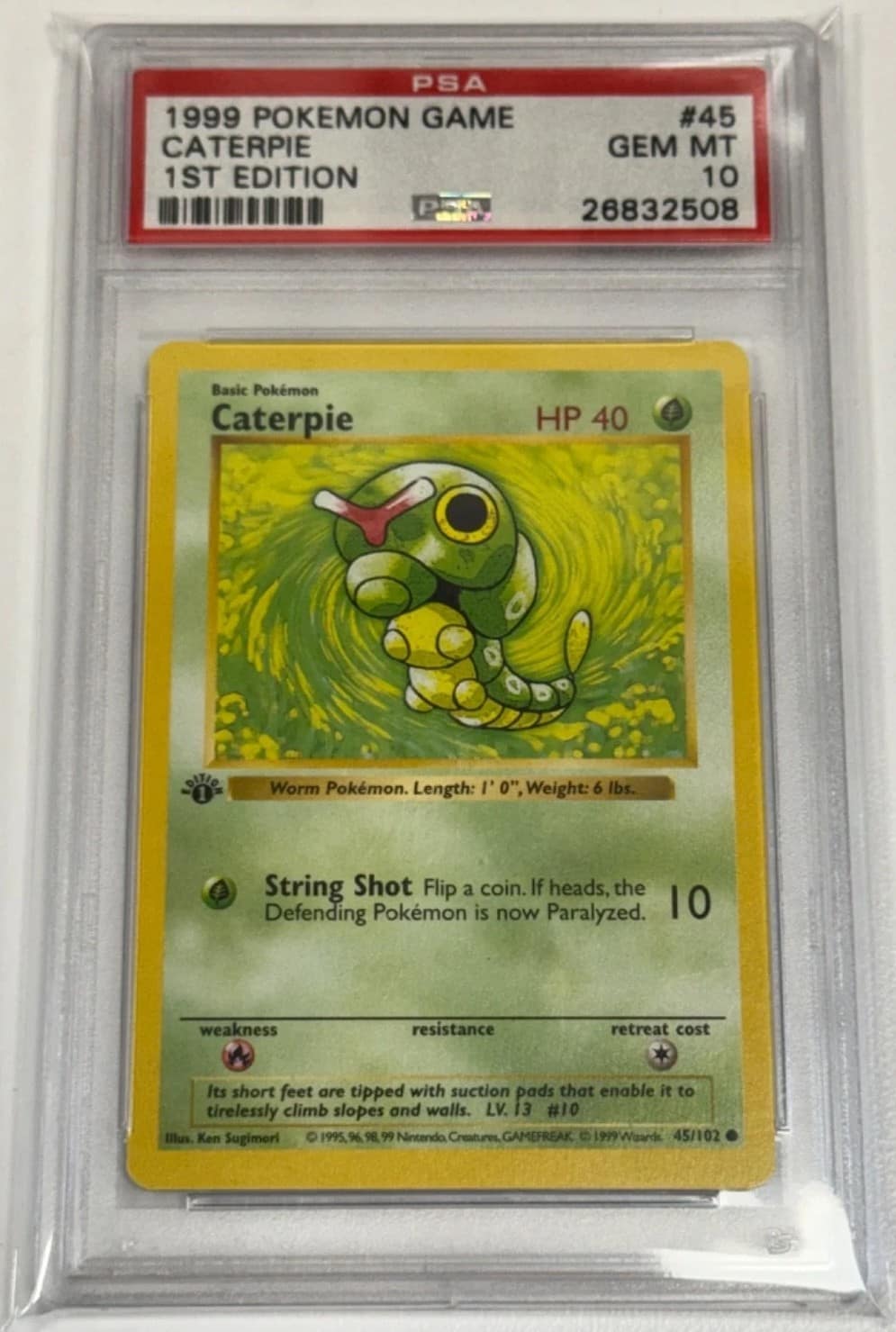 Caterpie