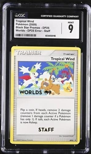 Tropical Wind