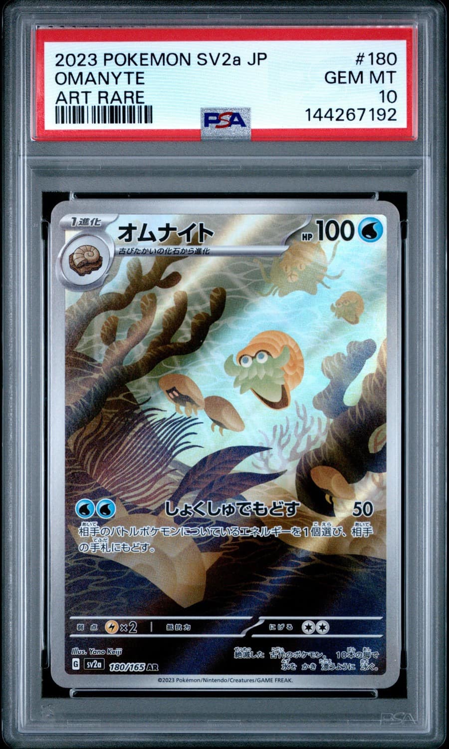 Omanyte