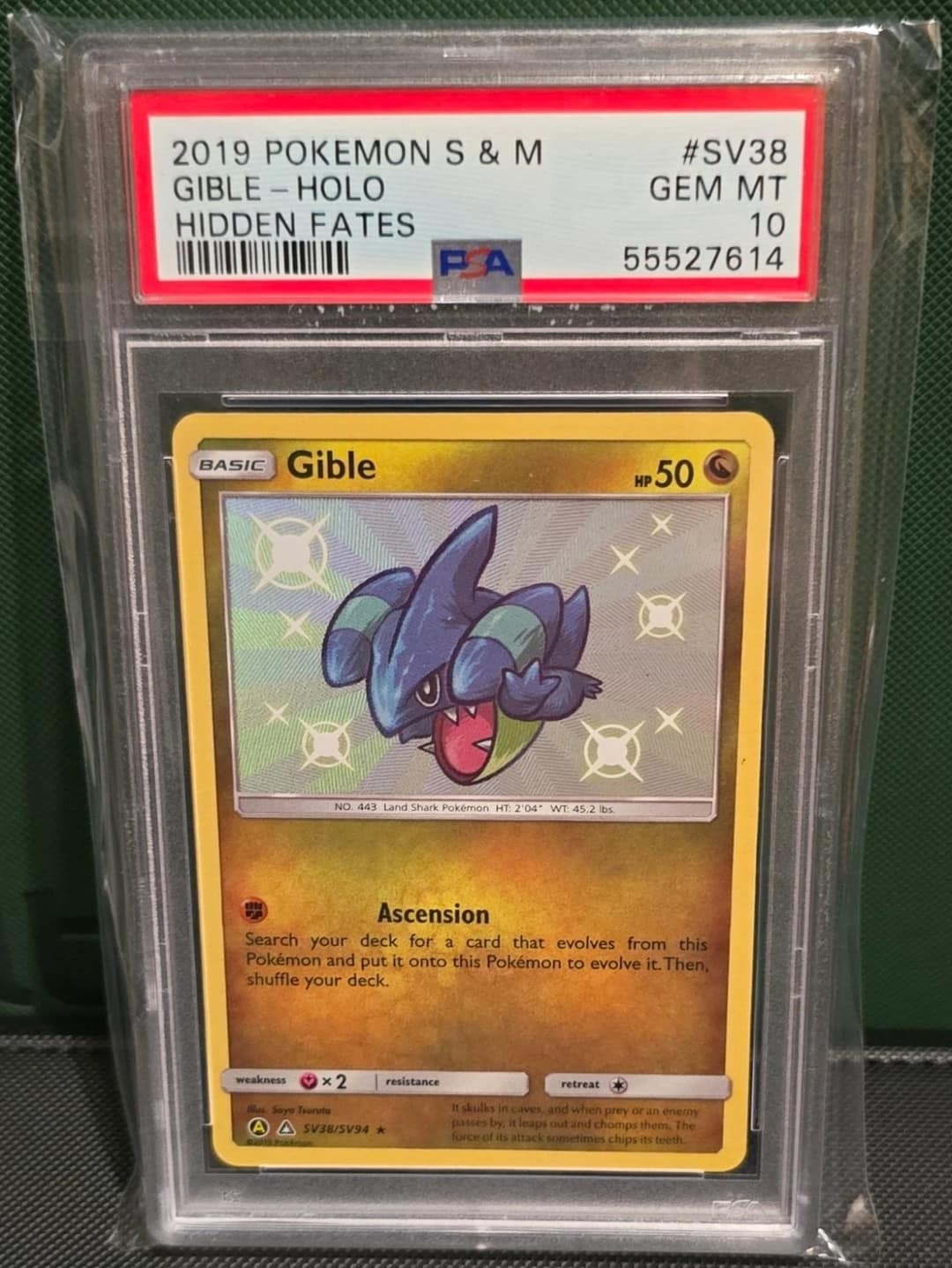 Gible