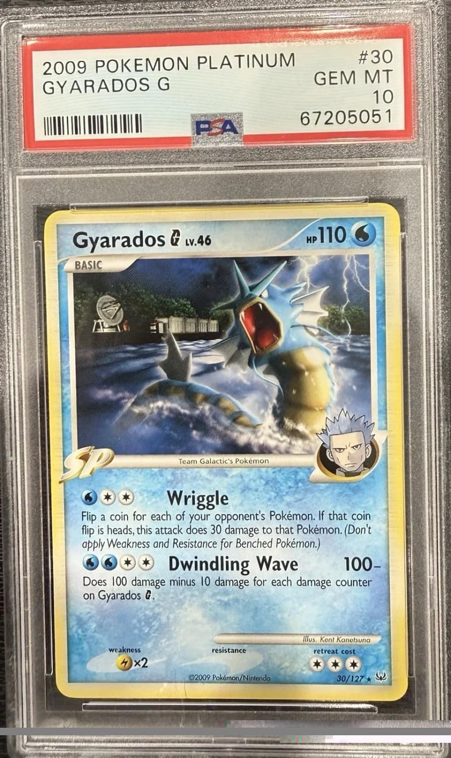 Gyarados G