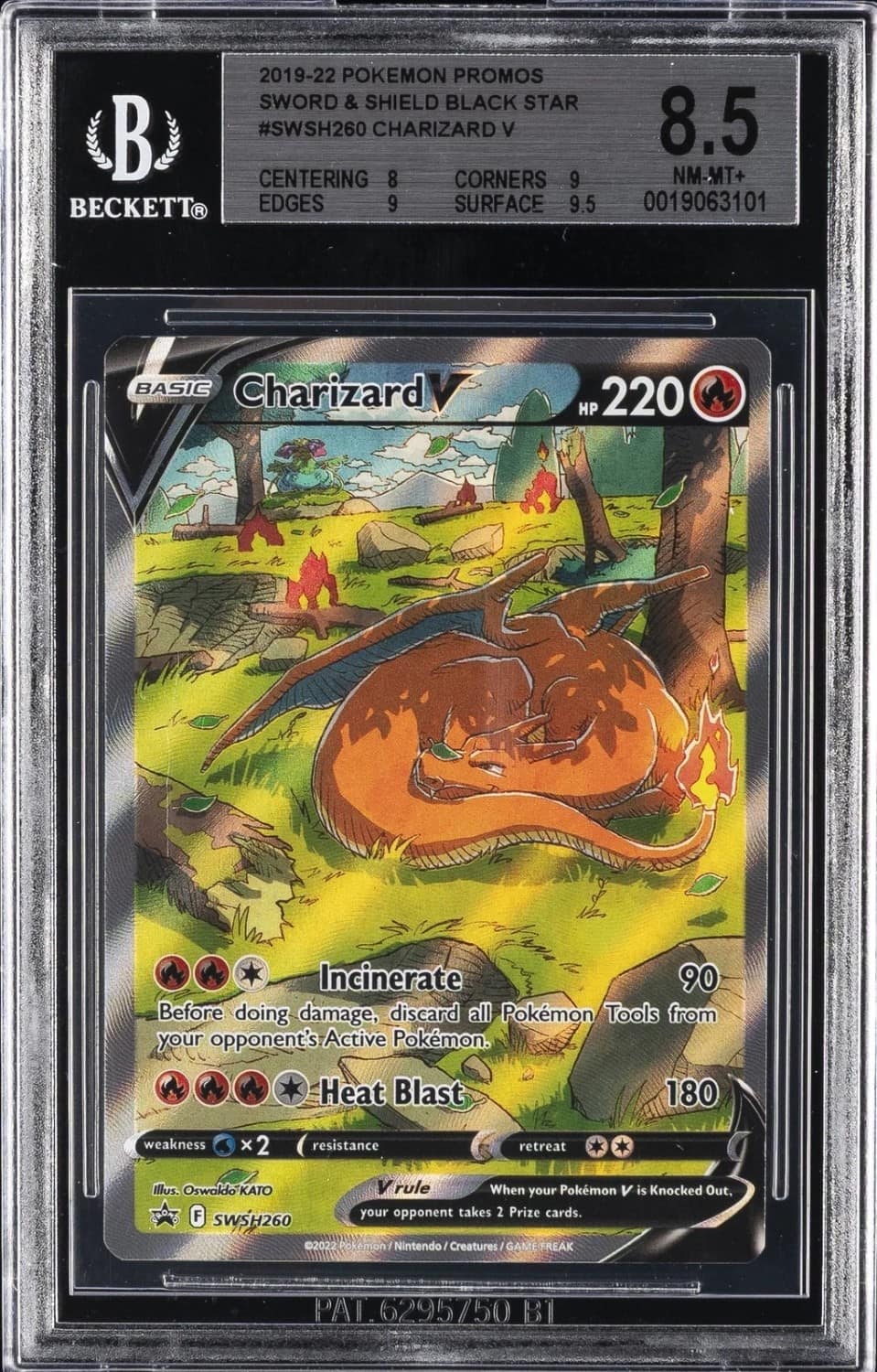 Charizard V