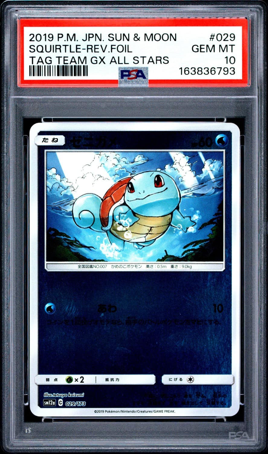 Squirtle