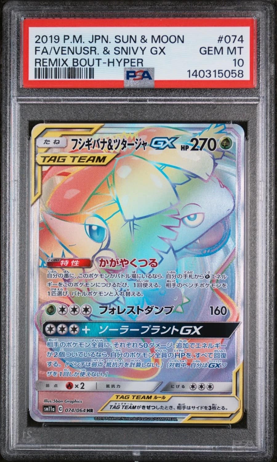 Venusaur & Snivy Gx