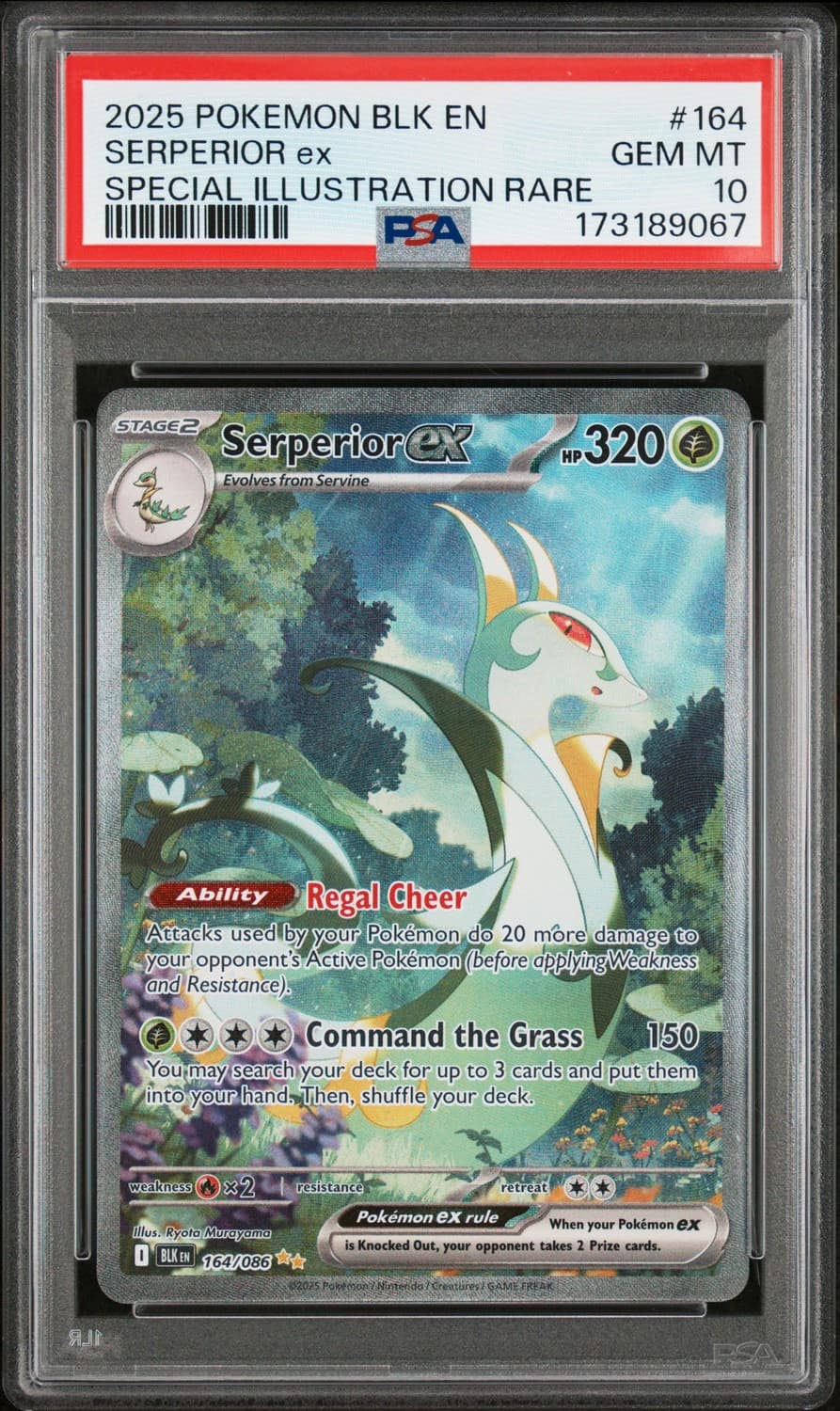 Serperior Ex