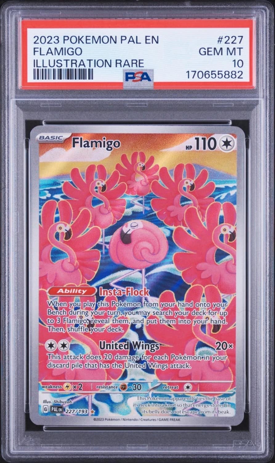 Flamigo