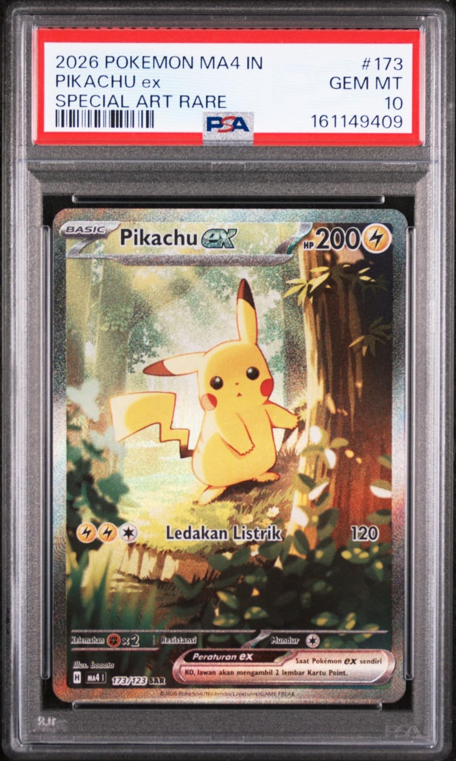 Pikachu Ex