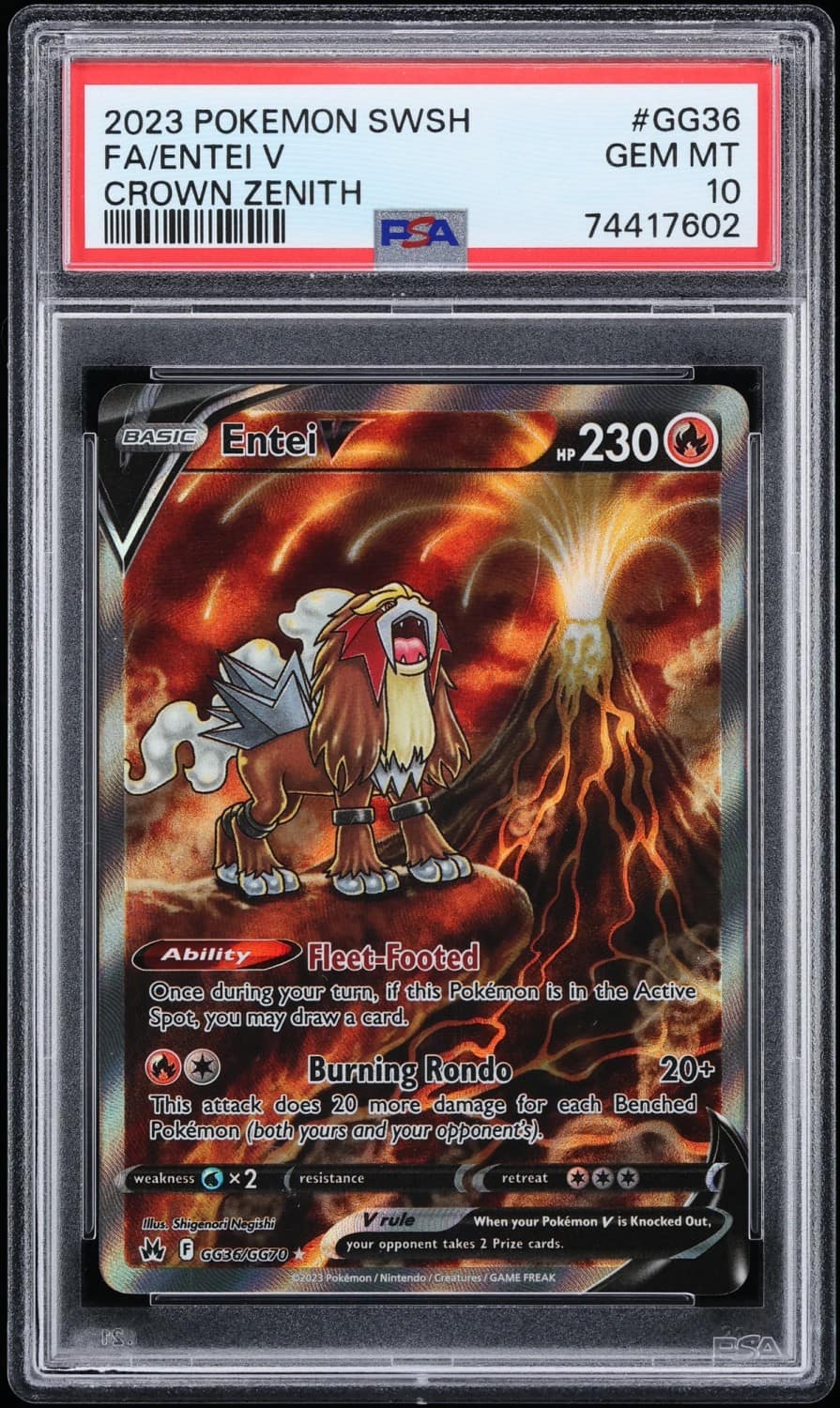 Entei V