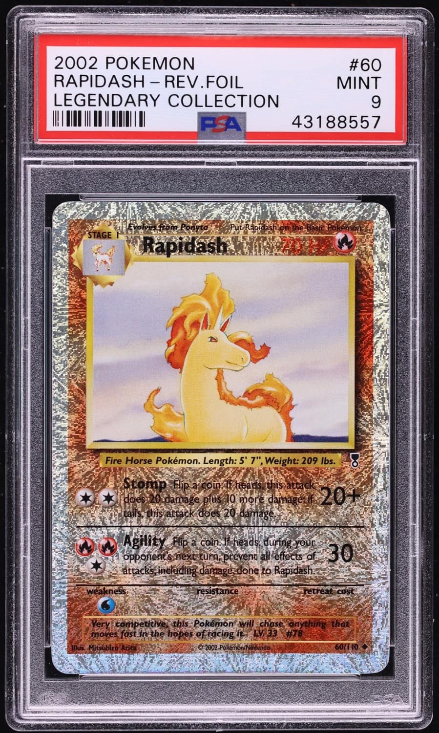 Rapidash